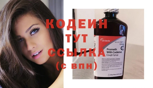 индика Саяногорск