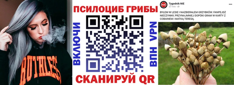 наркотики  Воткинск  Псилоцибиновые грибы Magic Shrooms 
