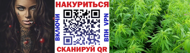 Конопля Amnesia  Воткинск 